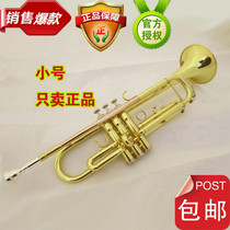 Suzuki trumpet musical instrument Drop B tone Student drum and horn team Beginner Brass childrens accessories original