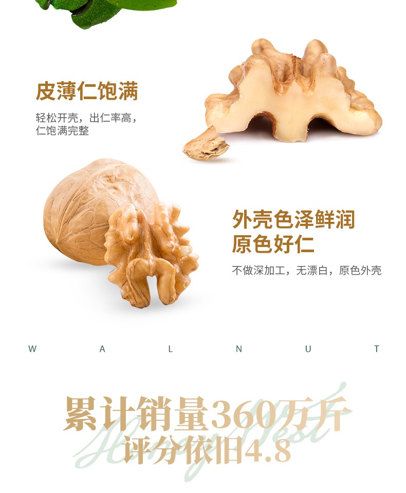 楼兰蜜语新货薄皮核桃500g