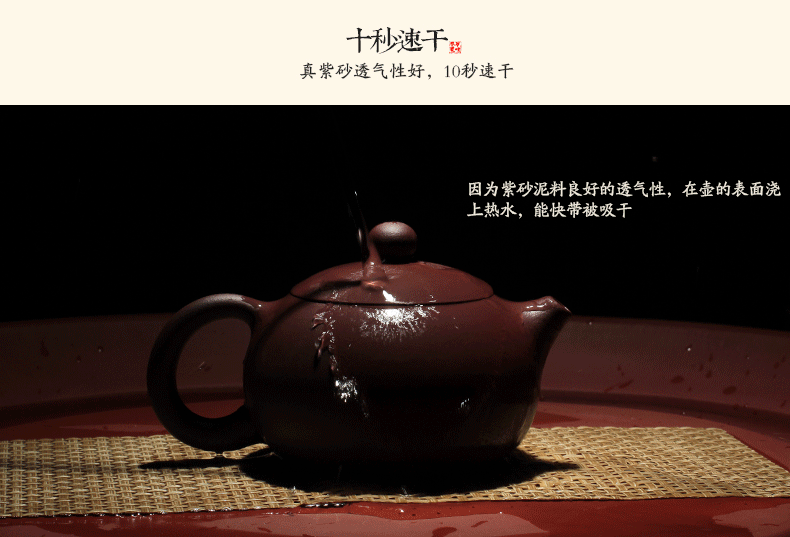 茶壶 壶 790_537 gif 动态图 动图