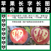 Art Apple stickers picture 120 holding hands with a life double picture full of 100 tape type love expression white red Fuji