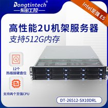 2U Rack Server DT-26512-SX10DRL 512G 12 Disk Xeon High Storage Server Host