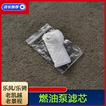 Suitable for Buick Kaiyue Lefeng Le Cheng Spark gasoline pump core filter Jingcheng fuel pump filter original accessories