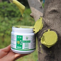 Plant wound healing agent tree Rod smear healing cream incision application sterilization and disinfection promoting healing good film formation
