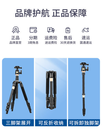 가벼운 시대 Q555 SLR 카메라 삼각대 모바일 앵커 라이브 지원 프레임 Douyin Internet Celebrity 휴대용 삼각대 라이브 지원 스탠드 사진 Gimbal Photography Micro 별도 포드 가벼운 시대 Q555 SLR 카메라 삼각대 모바일 앵커 라이브 지원 프레임 Douyin Internet Celebrity 휴대용 삼각대 라이브 지원 스탠드 사진 Gimbal Photography Micro 별도 포드