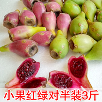 Cactus fruit wild cactus fruit fresh fruit mini small fruit red and green half 3 catties fruit