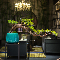 Simulation of welcome pine Plants Bonsai indoor new Chinese Zen home living room soft decoration fake green plant decorations