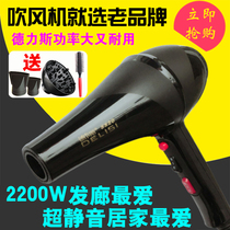 Draise 8820 High Power 2200W Electric Blow Hair Salon Hair Salon Special Cold Thermoelectric Blow Wind Dryer Hair Dryer
