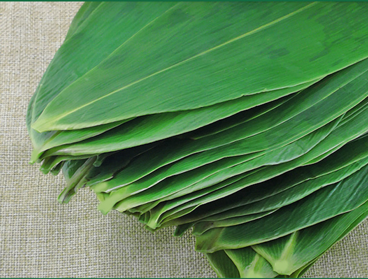 粽叶 新鲜粽子叶 真空装鲜粽叶野生小箬叶棕叶纯天然200片4袋免邮