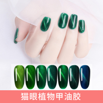 Jade emerald green cats eye light therapy nail polish glue Kordan dark green 2021 new nail shop special popular color