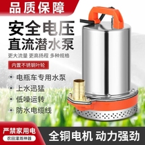 DC submersible pump agricultural electric vehicle water pump 12V24V48V60V72V96V high flow household irrigation