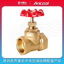 ANCOOL globe valve All copper globe valve High temperature copper valve internal thread 4 points 6 points dn15~50