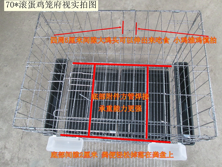 鸡笼子家用带蛋托大号养殖折叠铁丝笼鸭笼蛋鸡笼自动滚蛋鸡窝鸡舍