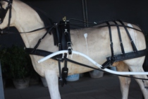 Harness Carriage harness Full high quality cowhide carriage cover Wedding carriage harness Equestrian harness harness