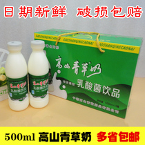 Alpine grass milk 500ml bottle Jiangxi Gannan Yudu specialty lactic acid bacteria drink milk yogurt whole box