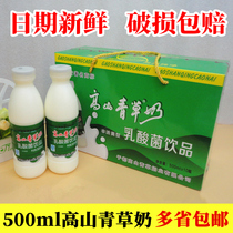 Alpine grass milk 500ml bottle Jiangxi Gannan Yudu specialty lactic acid bacteria drink milk yogurt FCL