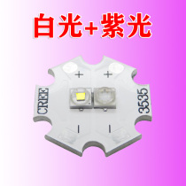 White light violet double light source lamp beads strong light flashlight catch and arrest scorpion special super bright violet charging portable lamp