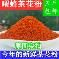 Tea pollen a catty of 2021 bee feed bee special bee grain bee breeding pollen from 5kg
