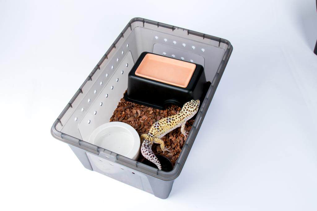 爬宠饲养盒守宫蝎子寄居蟹饲养箱独角仙宠物蛇乌龟箱蜗牛饲养盒