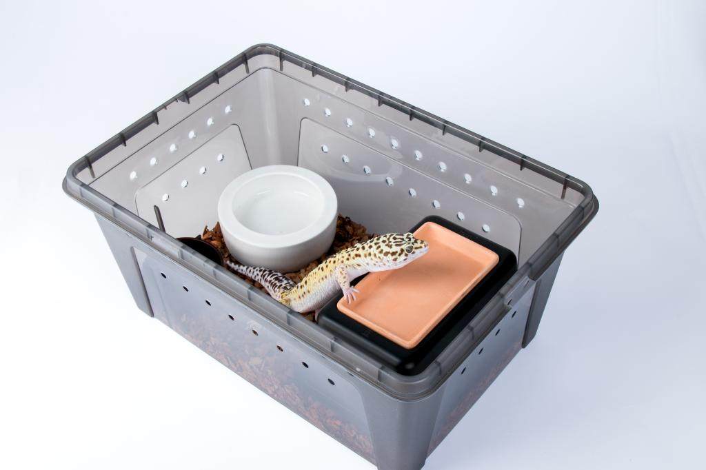 爬宠饲养盒守宫蝎子寄居蟹饲养箱独角仙宠物蛇乌龟箱蜗牛饲养盒