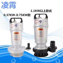 Guangdong Lingxiao QDX submersible pump 1 2 inch irrigation pump agricultural pump pig farm pump 220V submersible pump