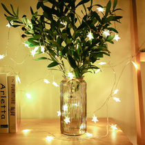 Valley rice curtain star lamp decorative curtain Net red ins style simple modern Nordic girl bedroom curtain fabric