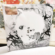 Radiohead Radiohead A Moon Shaped Pool 2LP Vinyl Record