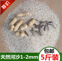 Saute melon seeds fried peanuts with sand fried sand Home Fried Stock Fried Peanuts Fried Melon Seeds Special Sand River Sand