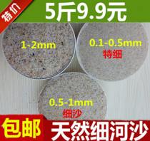 Natural fine river sand multi-meat nutritious earth grain flowers with cultivated flower turtle Lower egg hibernating sand fish tank bottom sand