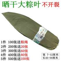 Dried zongzi leaves 100 large zongzi cotyledon fresh natural zongzong leaves dried zongzi cotyledon bamboo Brown leaves