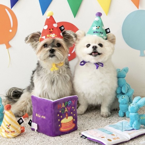 Spot mollypets* Korean purchasing agent genuine pet cat and dog party hat sniffing hidden food book toys
Spot mollypets* Korean purchasing agent genuine pet cat and dog party hat sniffing hidden food book toys
