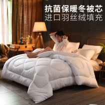 Mengtisha Chunqiu quilt quilt quilt core winter quilt single double student quilt dormitory winter thickened warm 10kg