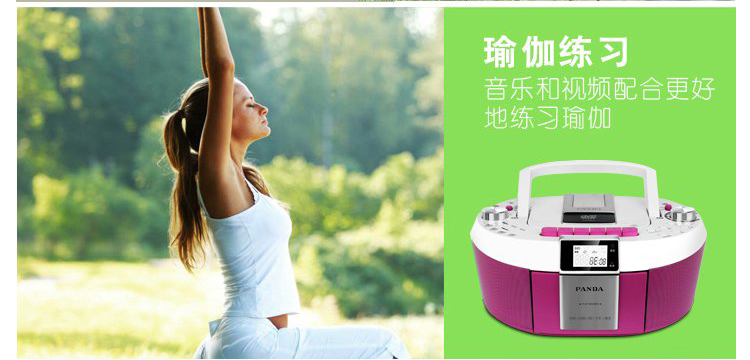Диктофон PANDA SOFTWARE PANDA/CD-820 DVD CD MP3 Диктофон PANDA SOFTWARE PANDA/CD-820 DVD CD MP3