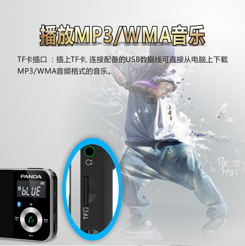 Радиоприёмник PANDA SOFTWARE PANDA/6210 FM Радиоприёмник PANDA SOFTWARE PANDA/6210 FM