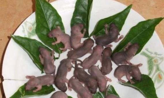 噩梦第四名:三吱儿