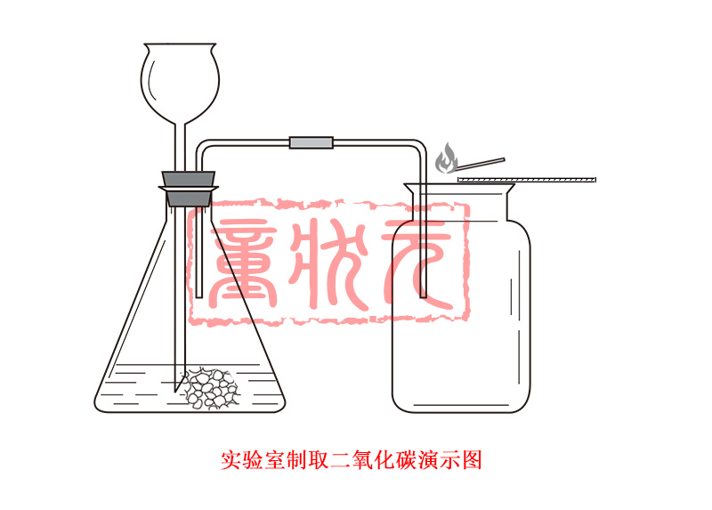 化学教学仪器制取二氧化碳co2装置含锥形瓶安全漏斗乳胶管集气瓶