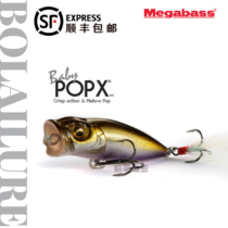 Japan megabass water system POPX7 grams hit the water wave climbing perch