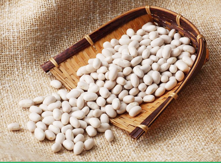 小白芸豆云南白芸豆珍珠白芸豆小白豆小白云豆500g包邮500克特价