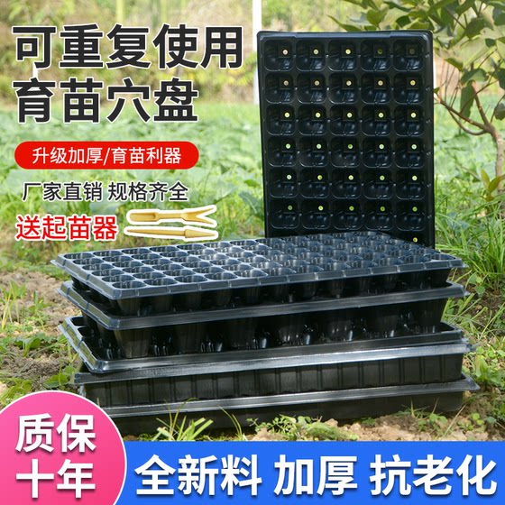 Thickened succulent sprout vegetable cultivation box, hole tray, succulent planting seedling box, seedling tray, plastic nutrient bowl, and cutting Thickened succulent sprout vegetable cultivation box, hole tray, succulent planting seedling box, seedling tray, plastic nutrient bowl, and cutting