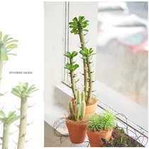 Nordic Style Emulation Cactus Potted Plant Table Pendulum Greening Plant Bonsai Home Office Decoration art398