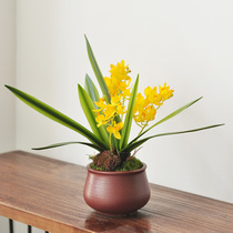 (Nine Thoughts) New Chinese Elegant Emulation Flowers Xiaohui Lan Floral Business Boilerplate Table Swing Decorations art287