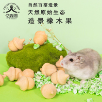 Hamster Supplies Gold Silk Bear Wood Grinders Wood Grinders Toy Autumn Givy Ball Roller wheel cage Framing Supplies Base Cage