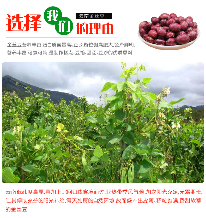新货云南金丝豆红花豆孔雀豆芙蓉豆雀蛋豆芸豆红饭豆5斤装包邮