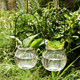 9 installed hanging transparent glass vase small bottle of pumpkin simple hydroponics indoor gardening pots home decoration 9 installed hanging transparent glass vase small bottle of pumpkin simple hydroponics indoor gardening pots home decoration