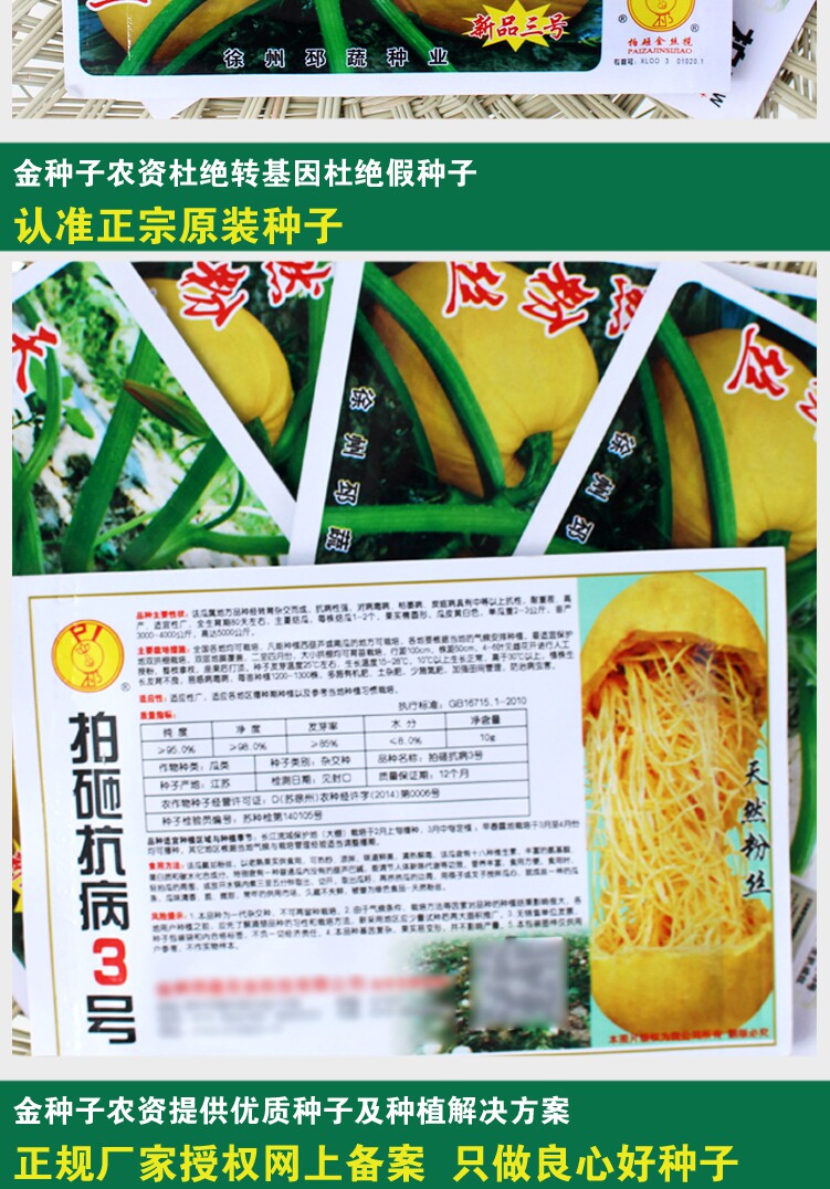 金丝绞瓜种子搅瓜籽天然粉丝瓜四季搅瓜种子海蜇丝瓜菜种菜籽批发