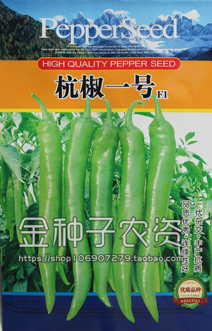 奇新杭椒一号辣椒种子 杭州出品 辣味中等 高产基地用 传统老杭椒