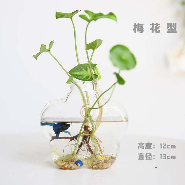 Handmade glass vase floral ornaments creative living room transparent hydroponic flower home decorative gardening Handmade glass vase floral ornaments creative living room transparent hydroponic flower home decorative gardening