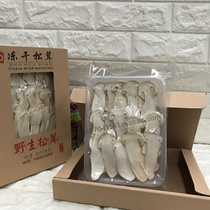 New goods Yunnan FD freeze-dried pine furry slices dried goods peeled pine mushrooms flakes fd edible mushroom slices 7 to 9 gift boxes