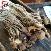 Liang Jinji tea tree mushroom tea wage mushroom Guangchang specialty dry goods 250g