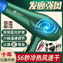 Li Jia hair dryer household high-power negative ion hair care barber shop special 5000 mute blower w