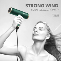Li Jiaqi net red hair dryer hot and cold air negative ion hair care student dormitory household high-power electric air blower